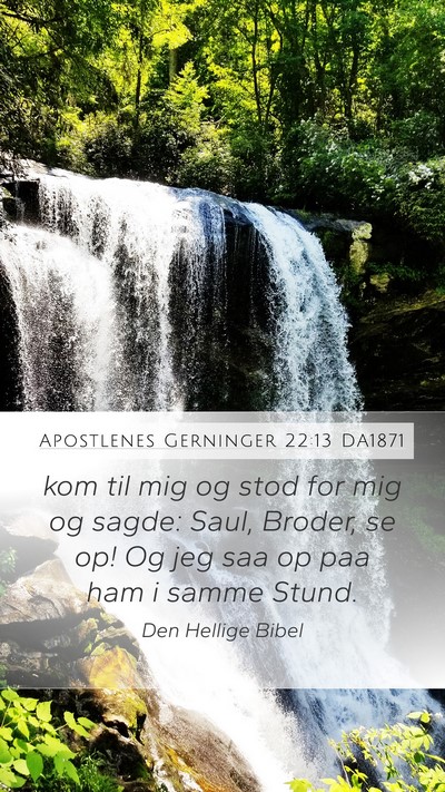 Apostlenes Gerninger 22:13 DA1871 Mobile Phone Wallpaper - kom til mig og stod for mig og sagde: Saul, - Mobile Bible Verse Wallpaper