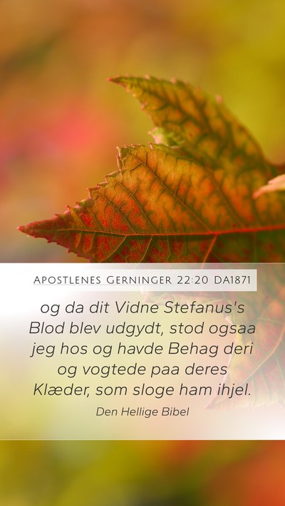 Apostlenes Gerninger 22:20 DA1871 Bible Verse Image