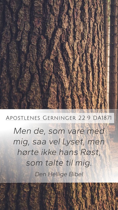 Apostlenes Gerninger 22:9 DA1871 Bible Verse Image