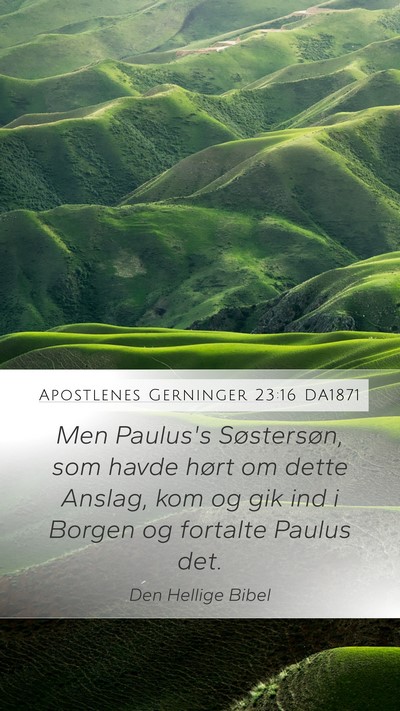 Apostlenes Gerninger 23:16 DA1871 Bible Verse Image