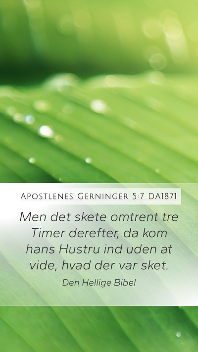 Apostlenes Gerninger 5:7 DA1871 Mobile Phone Wallpaper - Men det skete omtrent tre Timer derefter, da kom - Mobile Bible Verse Wallpaper