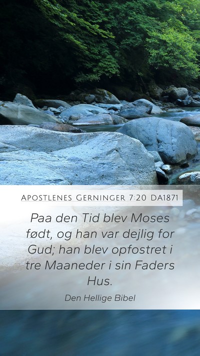 Apostlenes Gerninger 7:20 DA1871 Bible Verse Image