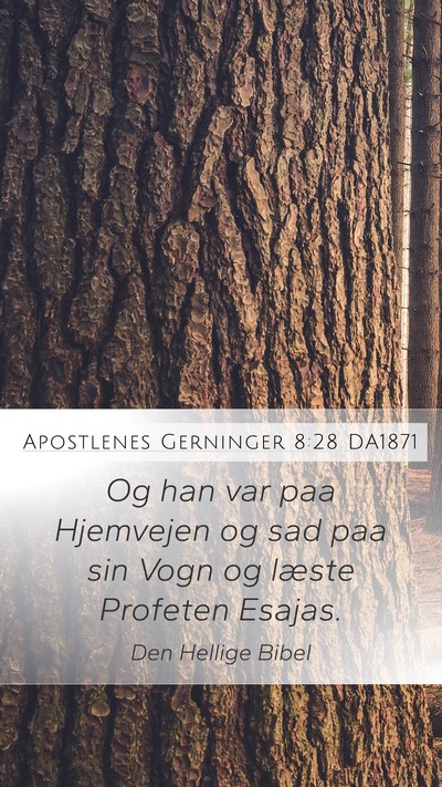 Apostlenes Gerninger 8:28 DA1871 Bible Verse Image