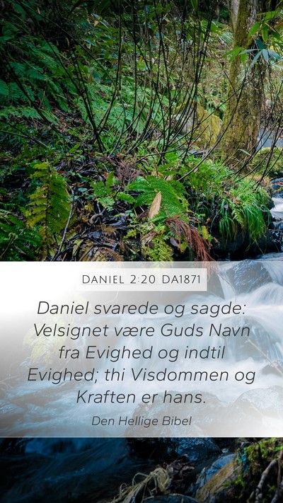 Daniel 2:20 DA1871 Bible Verse Image
