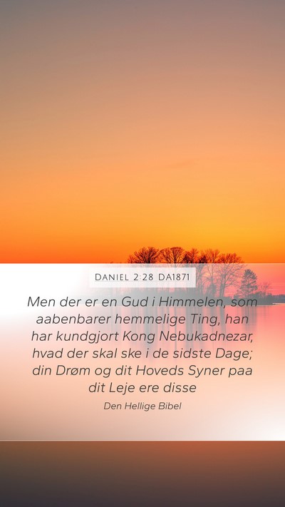 Daniel 2:28 DA1871 Bible Verse Image