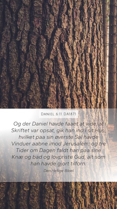 Daniel 6:11 DA1871 Mobile Phone Wallpaper - Og der Daniel havde faaet at vide, at Skriftet - Mobile Bible Verse Wallpaper