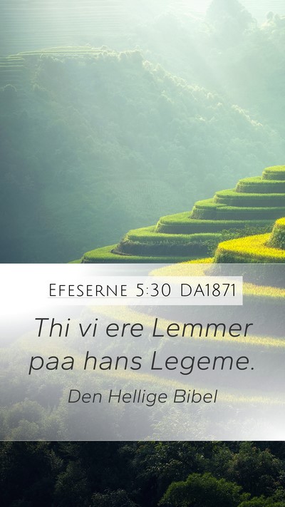 Efeserne 5:30 DA1871 Bible Verse Image