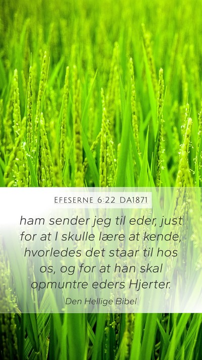 Efeserne 6:22 DA1871 Bible Verse Image