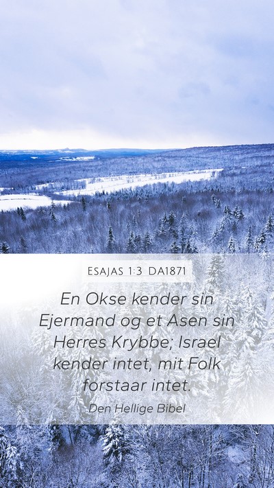 Esajas 1:3 DA1871 Bible Verse Image