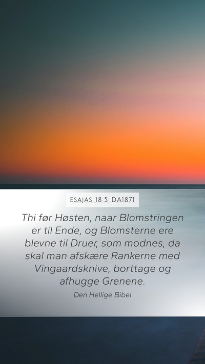 Esajas 18:5 DA1871 Bible Verse Image
