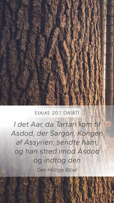 Esajas 20:1 DA1871 Bible Verse Image