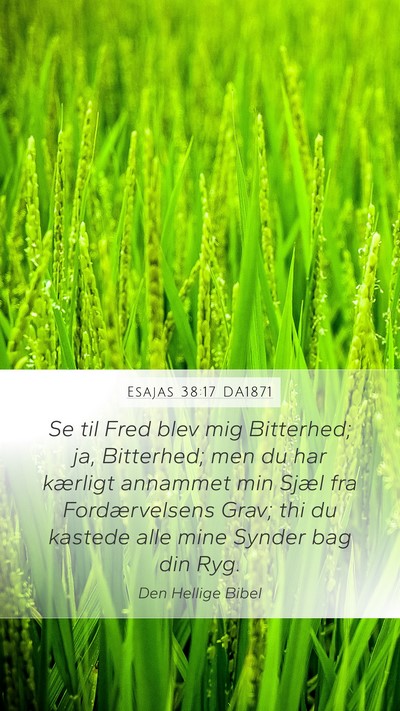 Esajas 38:17 DA1871 Bible Verse Image
