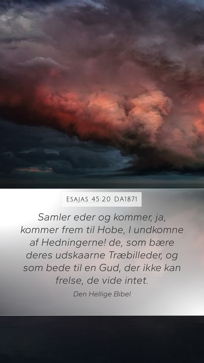 Esajas 45:20 DA1871 Bible Verse Image