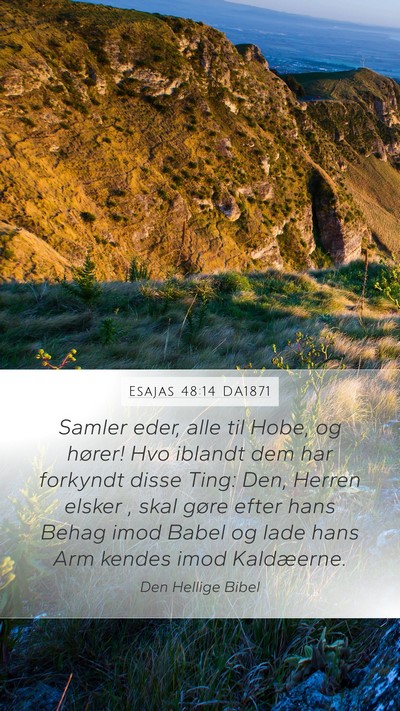 Esajas 48:14 DA1871 Bible Verse Image