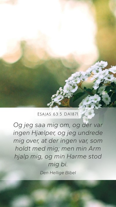 Esajas 63:5 DA1871 Bible Verse Image