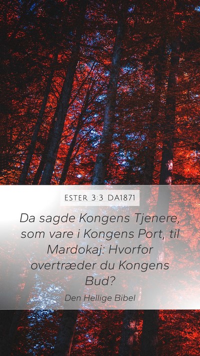 Ester 3:3 DA1871 Mobile Phone Wallpaper - Da sagde Kongens Tjenere, som vare i Kongens - Mobile Bible Verse Wallpaper
