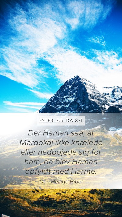 Ester 3:5 DA1871 Bible Verse Image