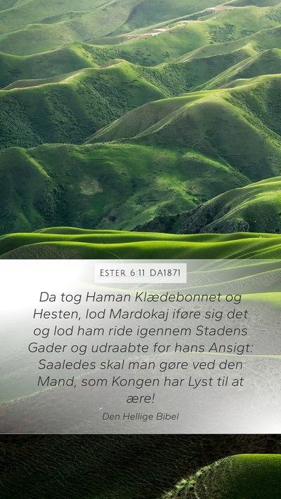 Ester 6:11 DA1871 Bible Verse Image