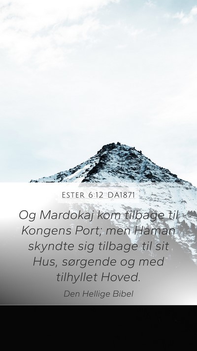 Ester 6:12 DA1871 Bible Verse Image