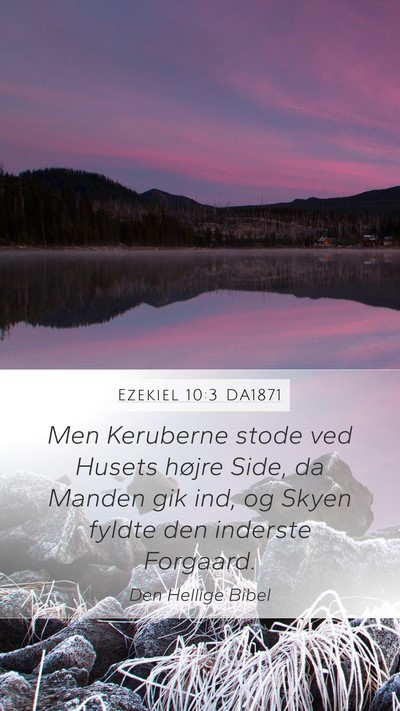 Ezekiel 10:3 DA1871 Bible Verse Image