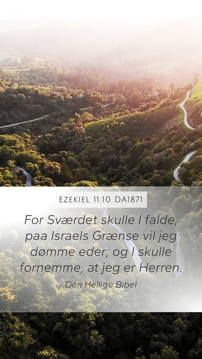 Ezekiel 11:10 DA1871 Bible Verse Image