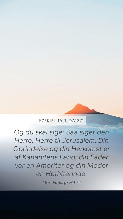 Ezekiel 16:3 DA1871 Bible Verse Image