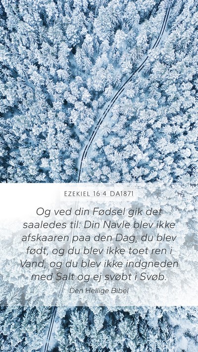 Ezekiel 16:4 DA1871 Bible Verse Image