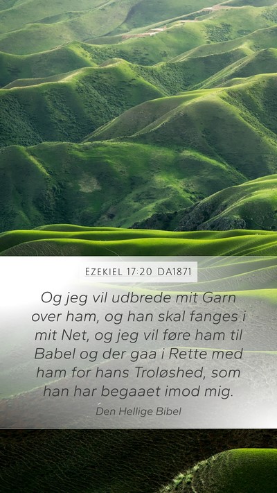Ezekiel 17:20 DA1871 Bible Verse Image