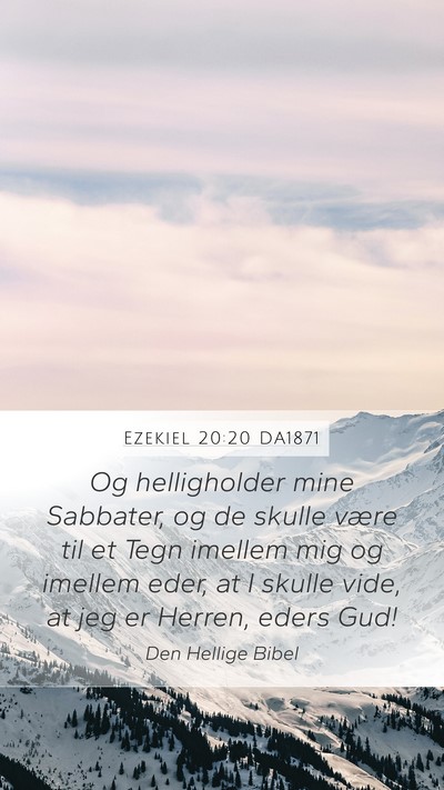 Ezekiel 20:20 DA1871 Bible Verse Image