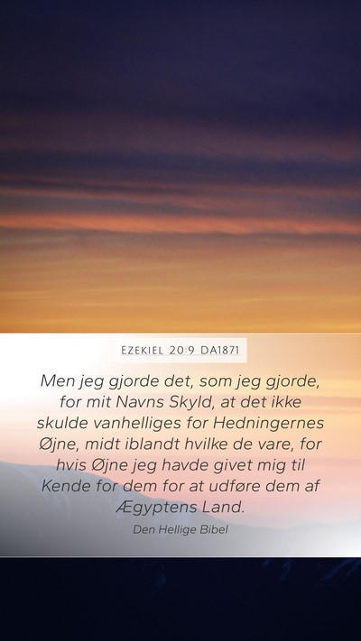 Ezekiel 20:9 DA1871 Bible Verse Image