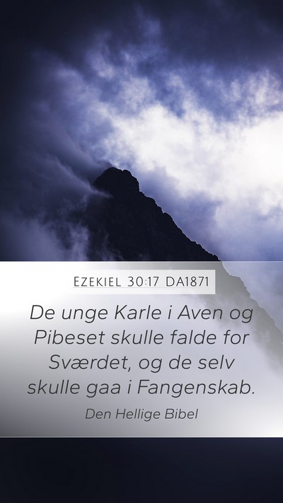 Ezekiel 30:17 DA1871 Bible Verse Image