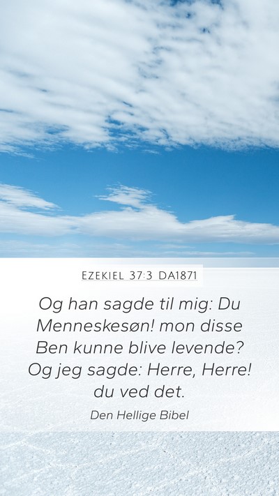 Ezekiel 37:3 DA1871 Bible Verse Image