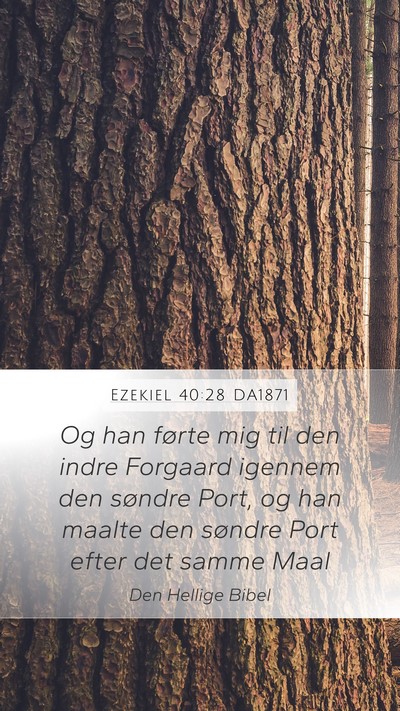 Ezekiel 40:28 DA1871 Bible Verse Image