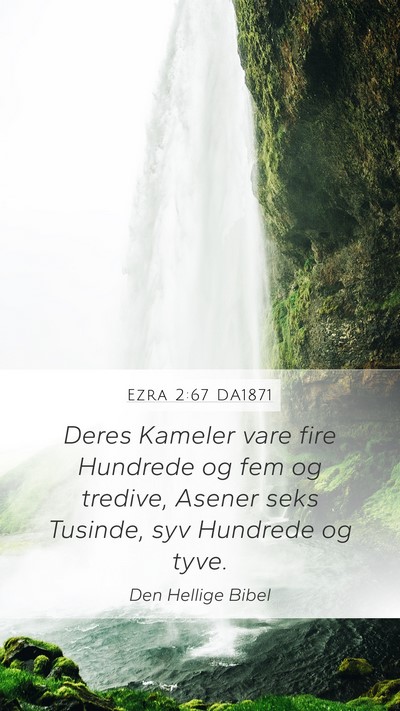 Ezra 2:67 DA1871 Mobile Phone Wallpaper - Deres Kameler vare fire Hundrede og fem og - Mobile Bible Verse Wallpaper