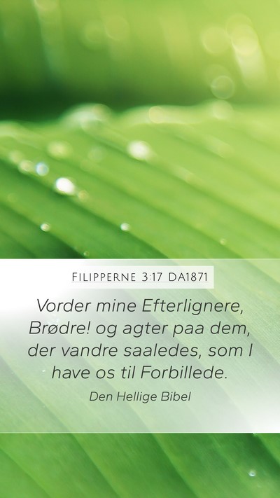 Filipperne 3:17 DA1871 Bible Verse Image