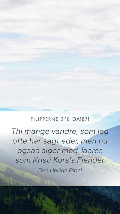 Filipperne 3:18 DA1871 Bible Verse Image