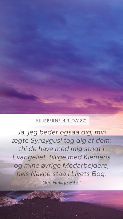 Filipperne 4:3 DA1871 Bible Verse Image