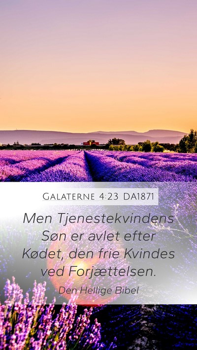 Galaterne 4:23 DA1871 Bible Verse Image