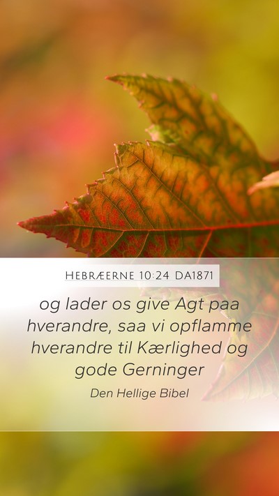 Hebræerne 10:24 DA1871 Bible Verse Image