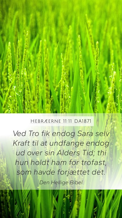 Hebræerne 11:11 DA1871 Bible Verse Image