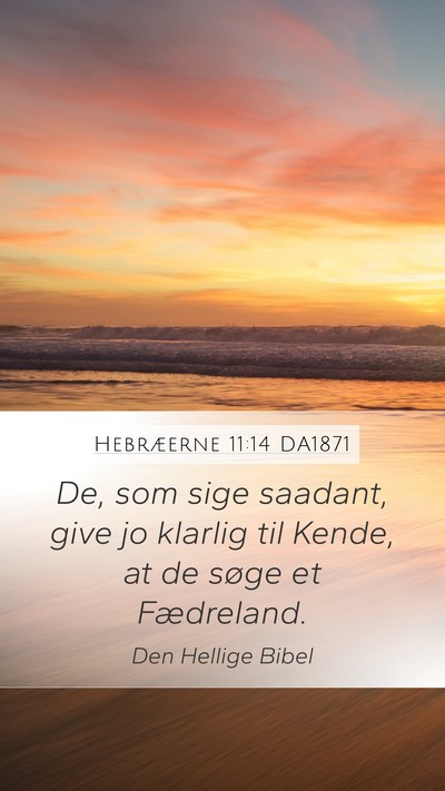 Hebræerne 11:14 DA1871 Bible Verse Image