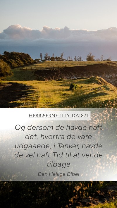 Hebræerne 11:15 DA1871 Bible Verse Image