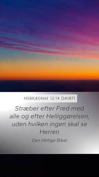 Hebræerne 12:14 DA1871 Bible Verse Image