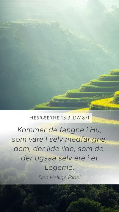 Hebræerne 13:3 DA1871 Bible Verse Image