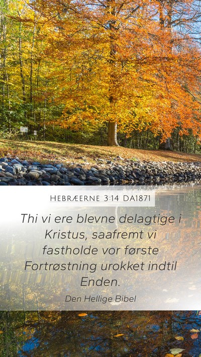 Hebræerne 3:14 DA1871 Bible Verse Image