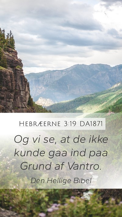 Hebræerne 3:19 DA1871 Bible Verse Image