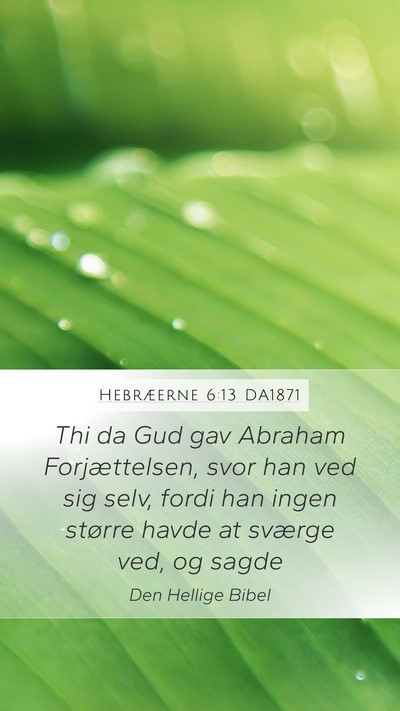 Hebræerne 6:13 DA1871 Bible Verse Image