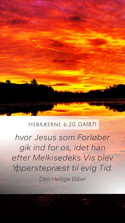 Hebræerne 6:20 DA1871 Bible Verse Image