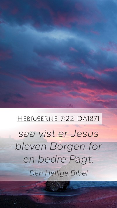 Hebræerne 7:22 DA1871 Bible Verse Image