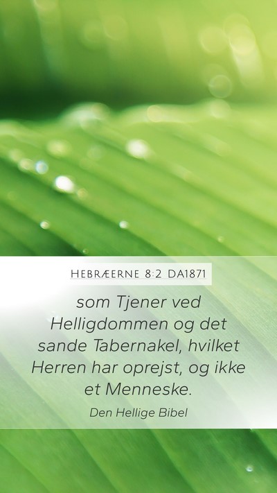 Hebræerne 8:2 DA1871 Bible Verse Image